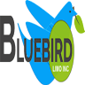 Bluebird Limo Inc