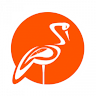 weshineacademy