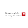 Bloomingdale Limousine